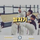 대교 태권도장 이미지