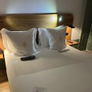 골드shot 이미지