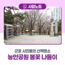 6.25참전기념비 | 벚꽃이 활짝 피어난 군포 시민들의 산책명소! 능안공원 봄꽃 나들이
