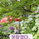 동광리-13 이미지