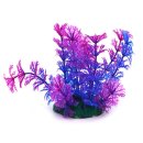 아쿠아테라 수족관 이미지