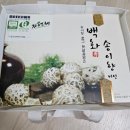 주식회사송이향 네이버블로그