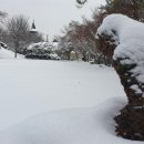 나무마당 이미지