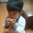 늘푸른청과 이미지