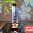 버밀리언 이미지