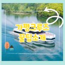 크루즈 | 중요한 팁이 많은 가평 크루즈 후기ㅣ꼭 기억하세요!