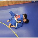 튼튼합기도 이미지