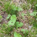 방장산 농장 이미지