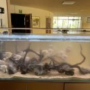 변산중학교 이미지