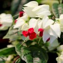 누리누리 이미지