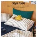 우리집의모든것 이미지