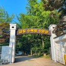 금원수목원수영장 이미지