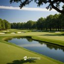 타미우스골프연습장 이미지