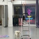 서대전역(3층) 공중화장실 | 더센트럴무브먼트 성신여대 요가 솔직 후기 플라잉 요가 하니 몸이 엄청 개운해요