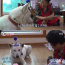 씨유경희대로점 | 2024년 11•12월