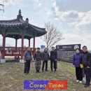 유채꽃길 이미지