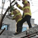 남산119안전센터 이미지