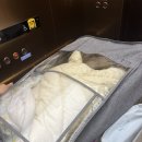 휴베이스 명인 약국 이미지