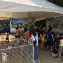 곤충동물 생태 체험교실 이미지