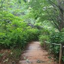 서리풀길 4 이미지