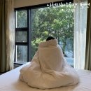 강원도 강릉 사천진해수욕장 펜션 가성비 숙소 오르펜션 내돈내산 후기