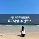 4월 제주도 가볼만한곳, 당일치기 우도여행코스, 우도소라축제