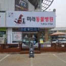 미래동물병원 이미지