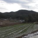 사창3리 경로당 이미지