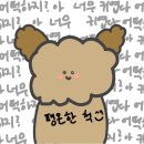 조이스토어