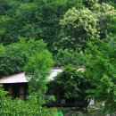 영화마을 이미지