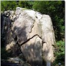 용봉초교 이미지