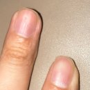 다낭 이발관 솔직 후기｜낙원·럭셔리·수지 직접 가본 리얼 비교