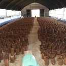 재준농장 이미지