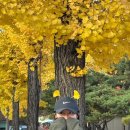 복덩이떡볶이 | 엄마아빠의 사랑을 따온 소중한 아이 유따온 👶🏻 | 임신 29~32주 일상