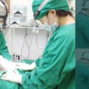 퍼스트동물병원 이미지