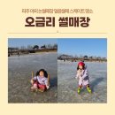 충장45마을협동조합 | 파주 오금리 썰매장 야외 논썰매장 얼음썰매 스케이트 명소