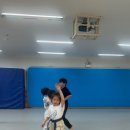 용인대석사명품태권도 이미지