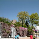 철쭉동산 이미지