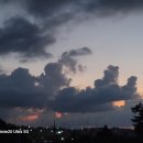 구름열매 이미지