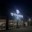 평택가야밀면 | 평택 서정리•이충동 맛집 / 평택 맛집 추천 “평택가야밀면”