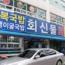 회신물회 이미지