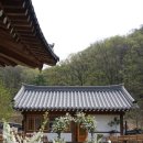 숲과한옥