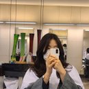 분당수내1-D-1 이미지