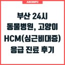 동평로 | 부산 24시 동물병원, 고양이 HCM(심근비대증) 응급 진료 후기
