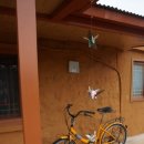 쿠시쿠시하우스 이미지