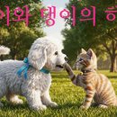 댕이의하루 이미지