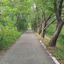 선동 공중화장실 이미지