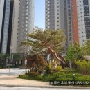 남문신우부동산중개사무소 이미지