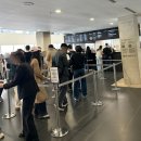 백상어 | "데이미언 허스트" 국립현대미술관 서울관 전시 취소표 줍줍 성공 후기