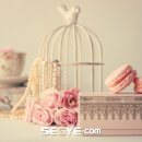 홀리데이인 인천송도호텔 이미지